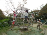 img0028.jpg