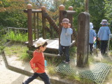 img0031.jpg