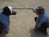 img0037.jpg