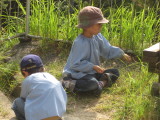 img0045.jpg