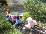 img0050.jpg