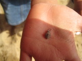 img0054.jpg