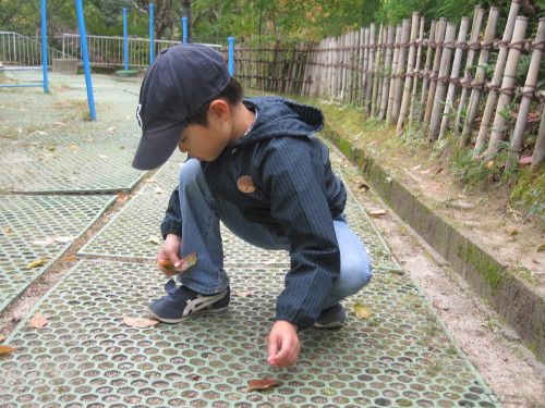 img0031.jpg