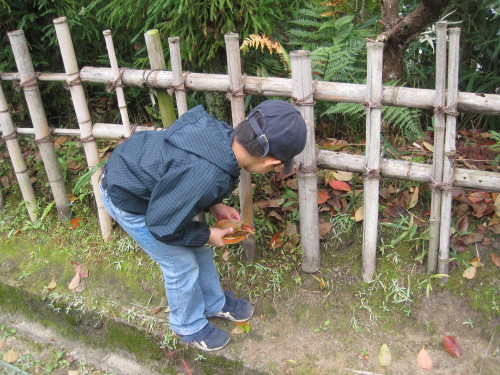 img0033.jpg