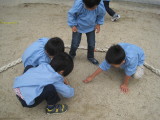 img0005.jpg