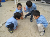 img0006.jpg