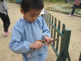 img0016.jpg