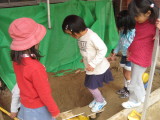 img0029.jpg