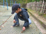 img0031.jpg