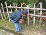 img0033.jpg