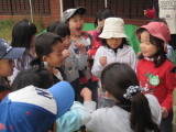 img0052.jpg