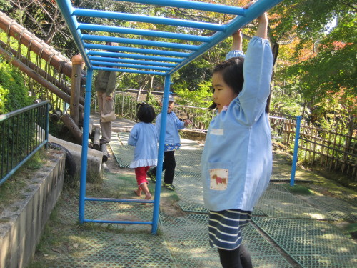 img0008.jpg