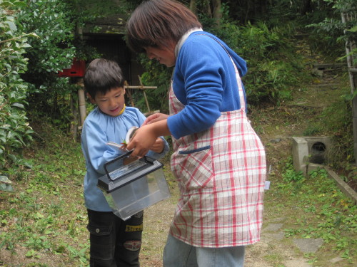 img0019.jpg