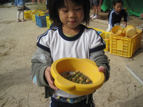 img0033.jpg