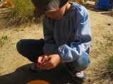 img0001.jpg