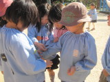 img0002.jpg