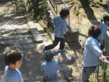 img0005.jpg