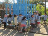 img0016.jpg
