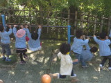img0017.jpg