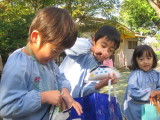 img0009.jpg