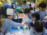 img0010.jpg