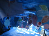 img0022.jpg