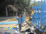 img0041.jpg
