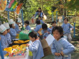 img0049.jpg
