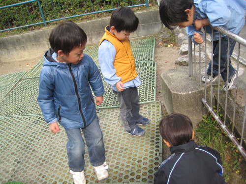 img0007.jpg