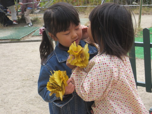 img0029.jpg