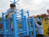 img0006.jpg
