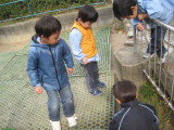 img0007.jpg