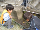 img0008.jpg