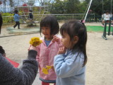 img0010.jpg