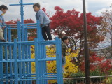 img0012.jpg