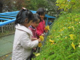 img0028.jpg