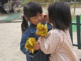 img0029.jpg