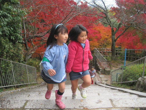 img0027.jpg