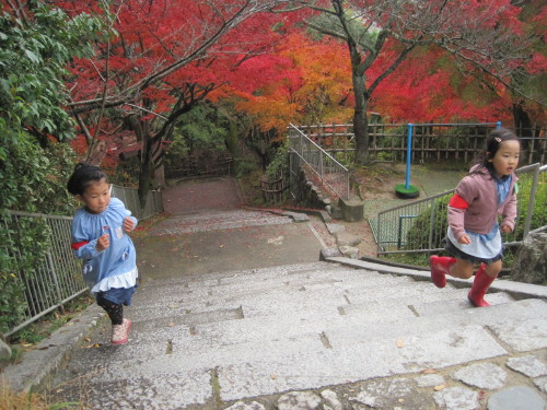 img0028.jpg