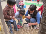 img0009.jpg
