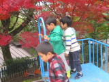 img0010.jpg