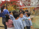img0011.jpg