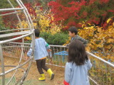 img0018.jpg