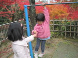 img0032.jpg