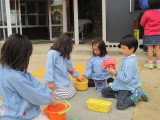 img0037.jpg