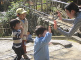 img0016.jpg