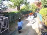 img0019.jpg