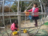 img0008.jpg