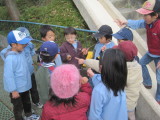 img0020.jpg