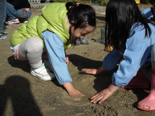 img0017.jpg